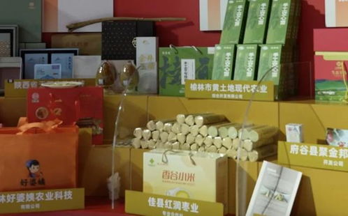 中国品牌日 佳县品牌 在上海精彩亮相 苏晓洁巡视佳县农特产品展示展销情况